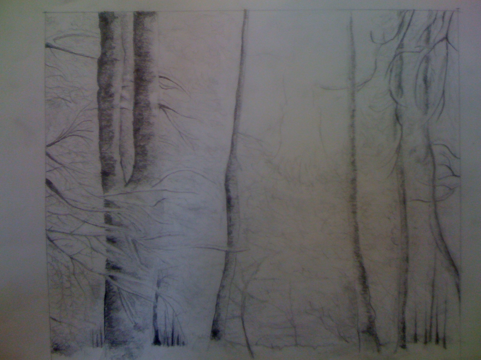 Dessiner des arbres dans une forêt